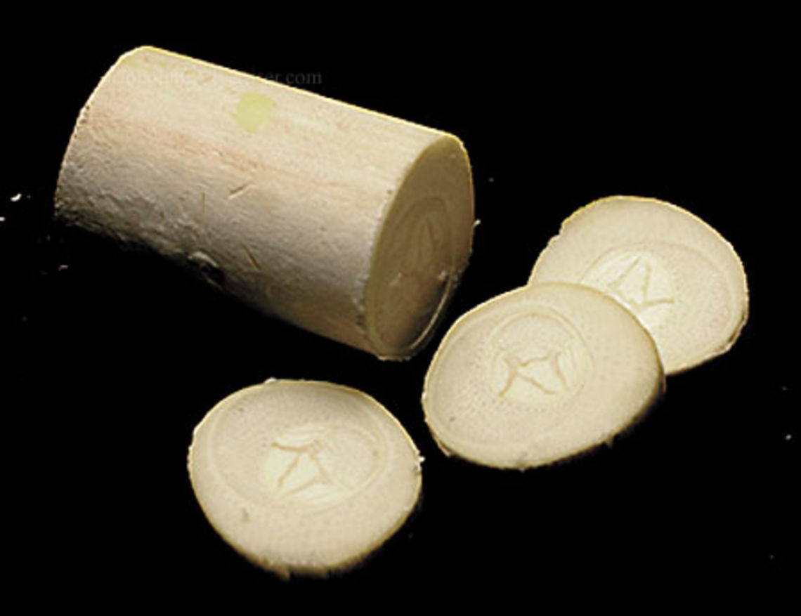 Palmito