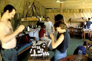 image-695